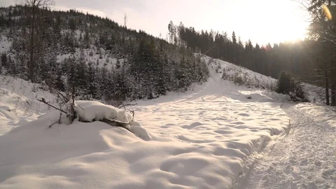 Winter in the mountains. Winter forest from a bird's eye view. Snow-covered Stock Footage 101874336