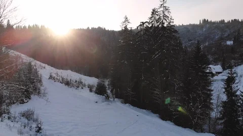 Winter in the mountains. Winter forest from a bird's eye view. Snow-covered Stock Footage 101875462
