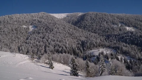 Winter in the mountains. Winter forest. Snow-covered trees in the mountains Stock Footage 100378427