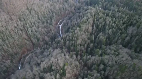 Winter mountains without snow, trees without leaves 4k Stock Footage 149511511