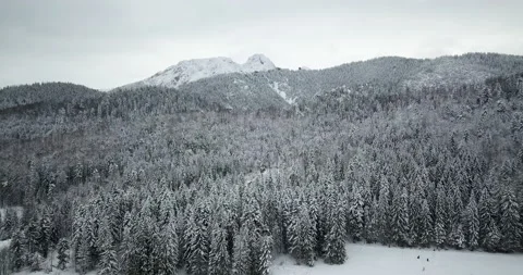 Winter in the mountains. Zakopane in the snow Stock Footage 148763555