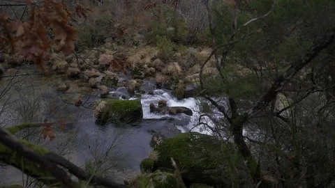 Winter moving river forest slider Stock Footage 80426969