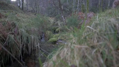 Winter moving river forest slider creek Stock Footage 80427534