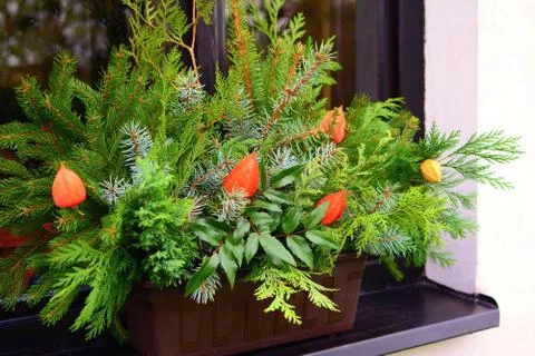 Winter natural decoration. 写真素材