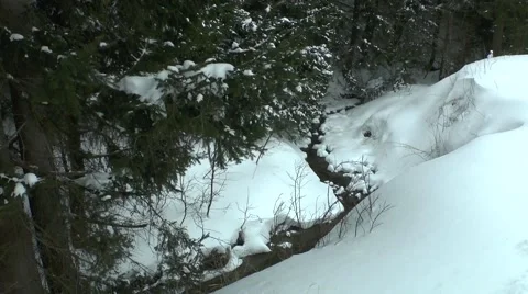 Winter nature 1 Video stock 46287830