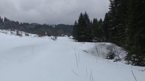 Winter nature 2 Video stock 46292099