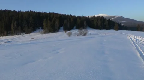 Winter nature 4 Video stock 46292337