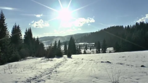 Winter nature 5 Video stock 46291968