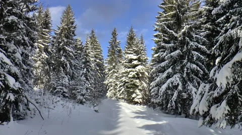 Winter nature 5 Video stock 46917630