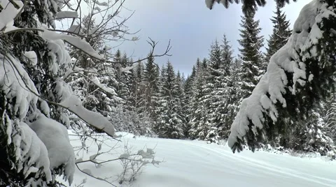 Winter nature 6 Video stock 46917741