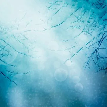 Winter nature background Stock Photos