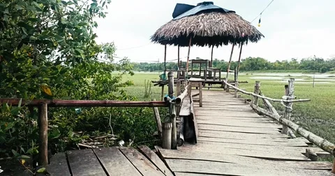 Winter nature composition with delicate tree branches. Tranquil park Stock Footage 321137082