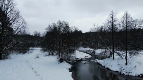 Winter nature, flying over the river between the trees Stock Footage 205423181