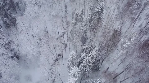 Winter nature Video stock 60769496