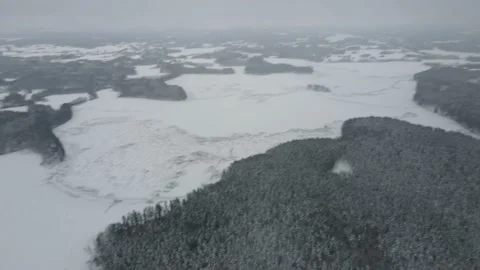 Winter nature Stock Footage 219269511