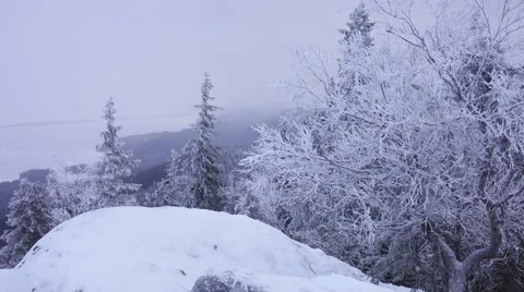 Winter nature nordic landscape with mountain snow forest and lake, panning. Stock Footage