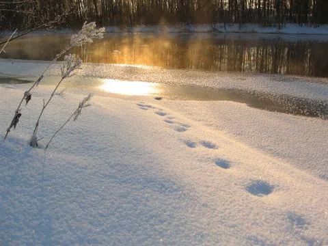 Winter nature Stock Photos