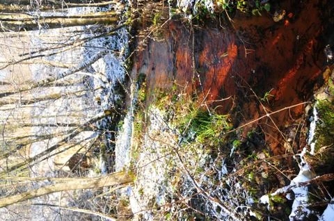 Winter nature Stock Photos