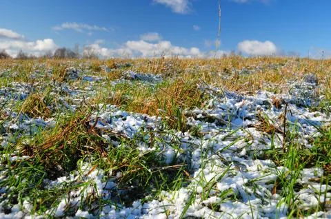 Winter nature Stock Photos
