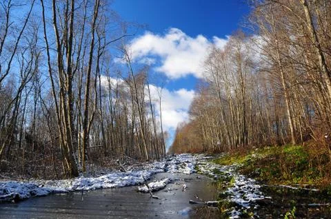 Winter nature Stock Photos