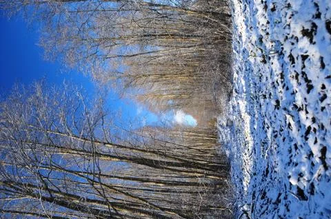 Winter nature Stock Photos