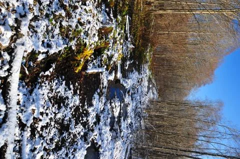 Winter nature Stock Photos