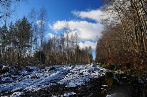 Winter nature Stock Photos