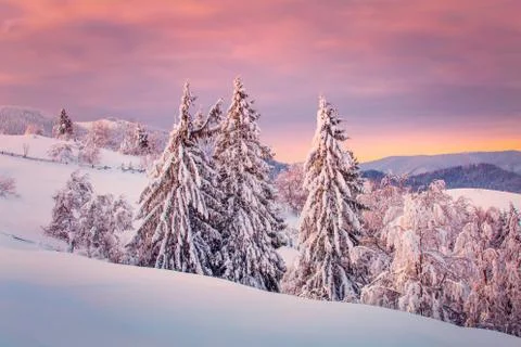 Winter nature Stock Photos