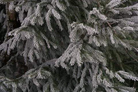 Winter nature Stock Photos