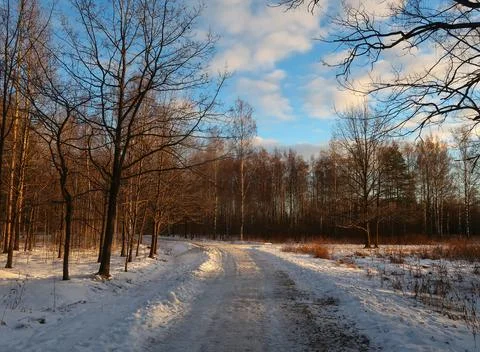 Winter nature Stock Photos