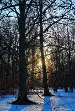 Winter nature Stock Photos