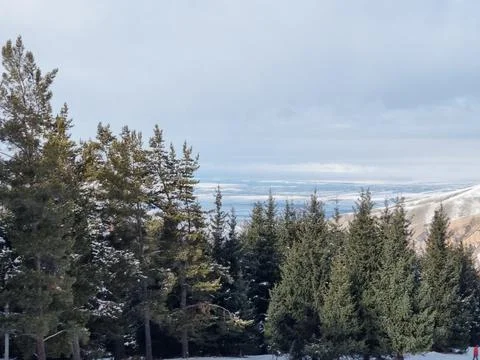Winter nature Stock Photos