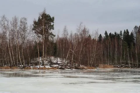 Winter nature Foto stock