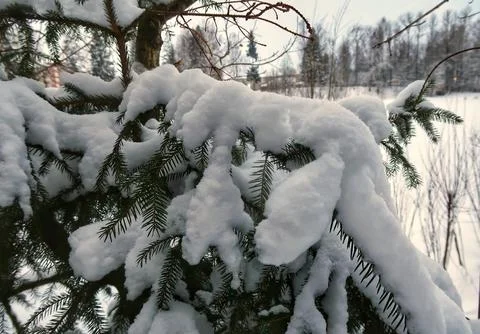 Winter nature Stock Photos