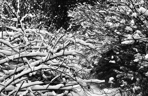 Winter nature Stock Photos