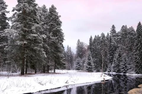 Winter nature Foto stock