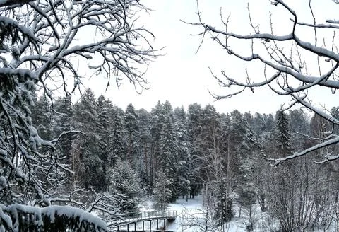 Winter nature Stock Photos