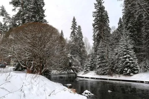 Winter nature Fotos Stock