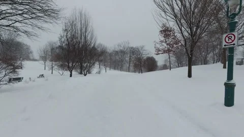 Winter Nature Scene With Falling Snow 스톡 동영상 323422907