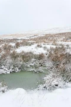 Winter Nature Scene Stock Photos