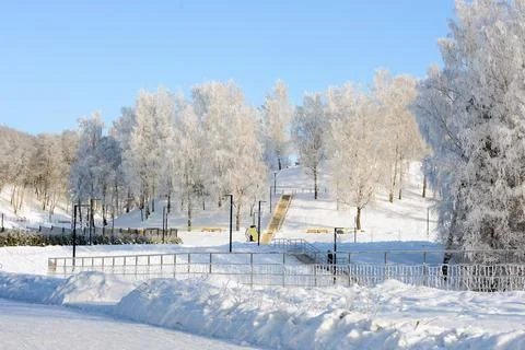 Winter nature. Snow-covered trees covered with hoarfrost. Park on a sunny win Stock Photos