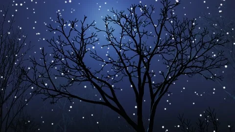 Winter night with falling snow and dry tree in the park. Stock Footage 229569106