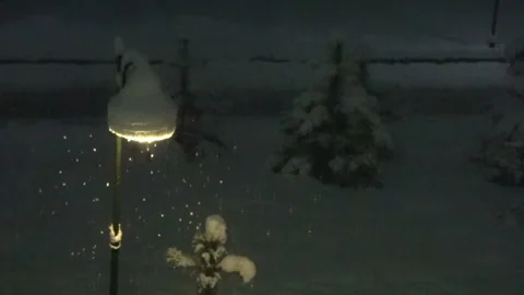 Winter night landscape scene of snow. Shining lights during snowfall. Stock Footage 101723140