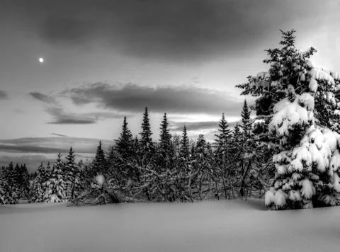 Winter night Stock Photos