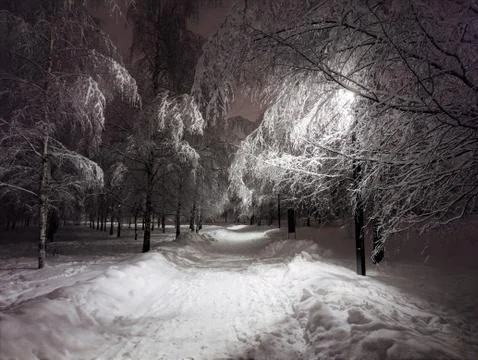 Winter at the night Foto stock