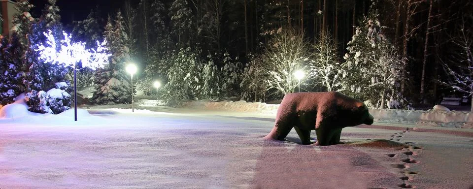Winter at night Stock Photos