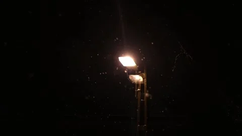 Winter night snow falling from the sky. Stock Footage 146866210