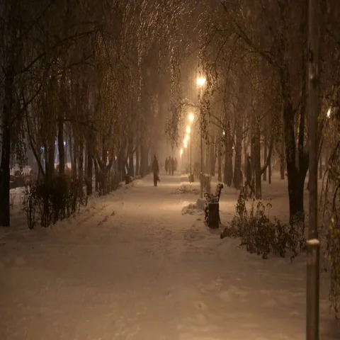 Winter night snow falls in the park Stock Footage 69533461