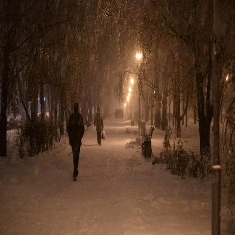 Winter night snow falls in the park Stock Footage 69533483