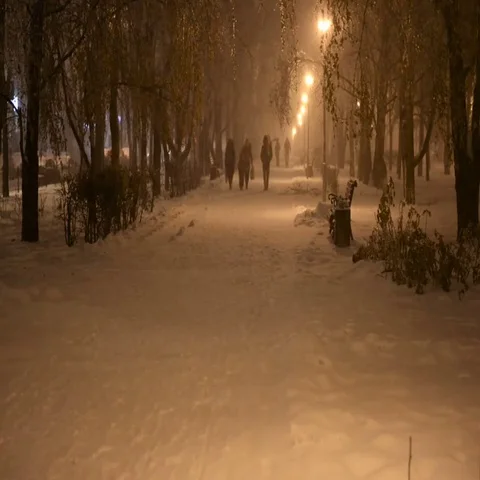 Winter night snow falls in the park Stock Footage 69533700
